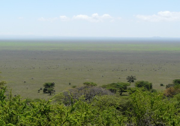 Central Serengeti